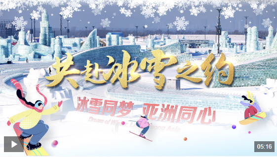 了另一种可