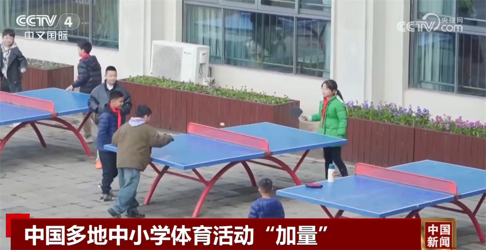 试训公告